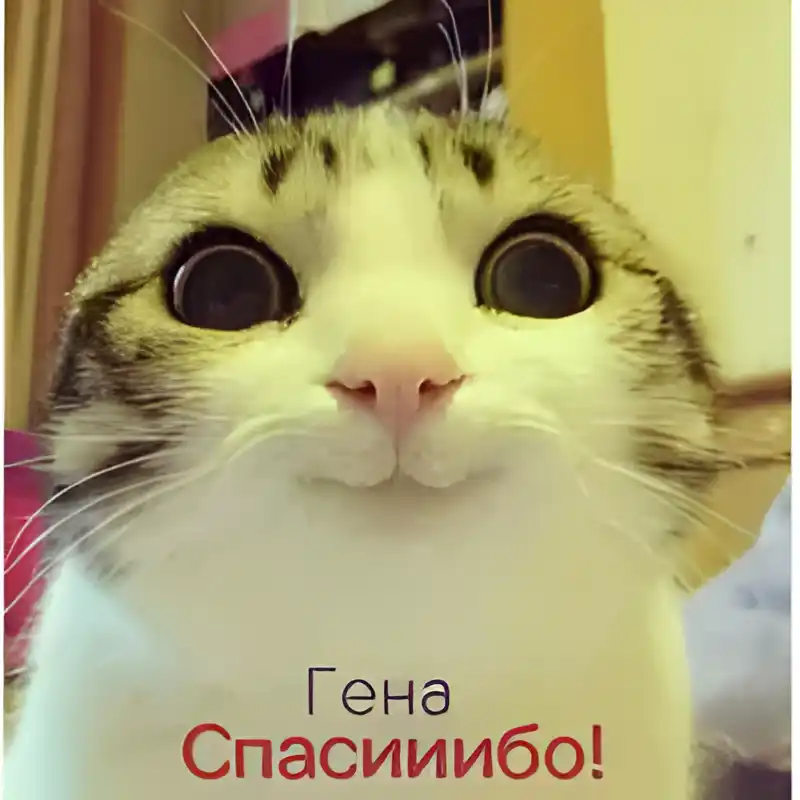 Открытка открытки с именем Геннадий - Котенок с надписью "Генна, спасисибо!" | Красивая открытка #228