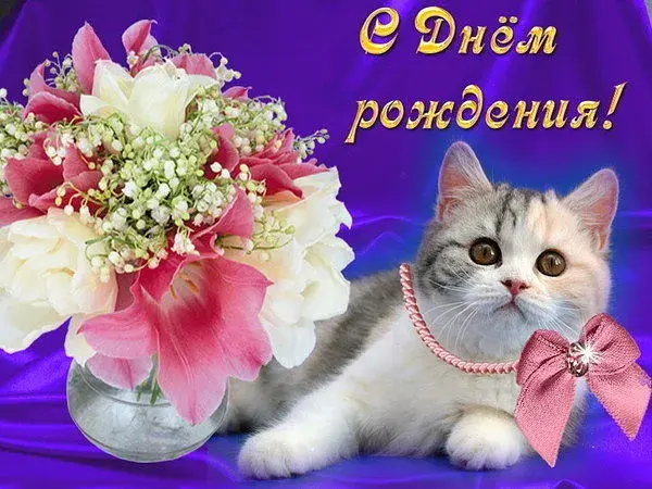 Открытка С кошками - Открытка с котенком и цветами  С Днем рождения | Красивая открытка #20