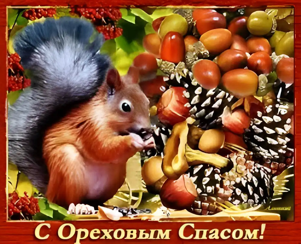 Открытка Открытки с Ореховым Спасом - Белка с орехами: поздравительная открытка | Красивая открытка #7
