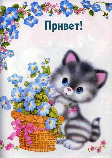 Открытка Привет - Милый котенок с цветами: открытка с котенком и синими цветами | Красивая открытка #22
