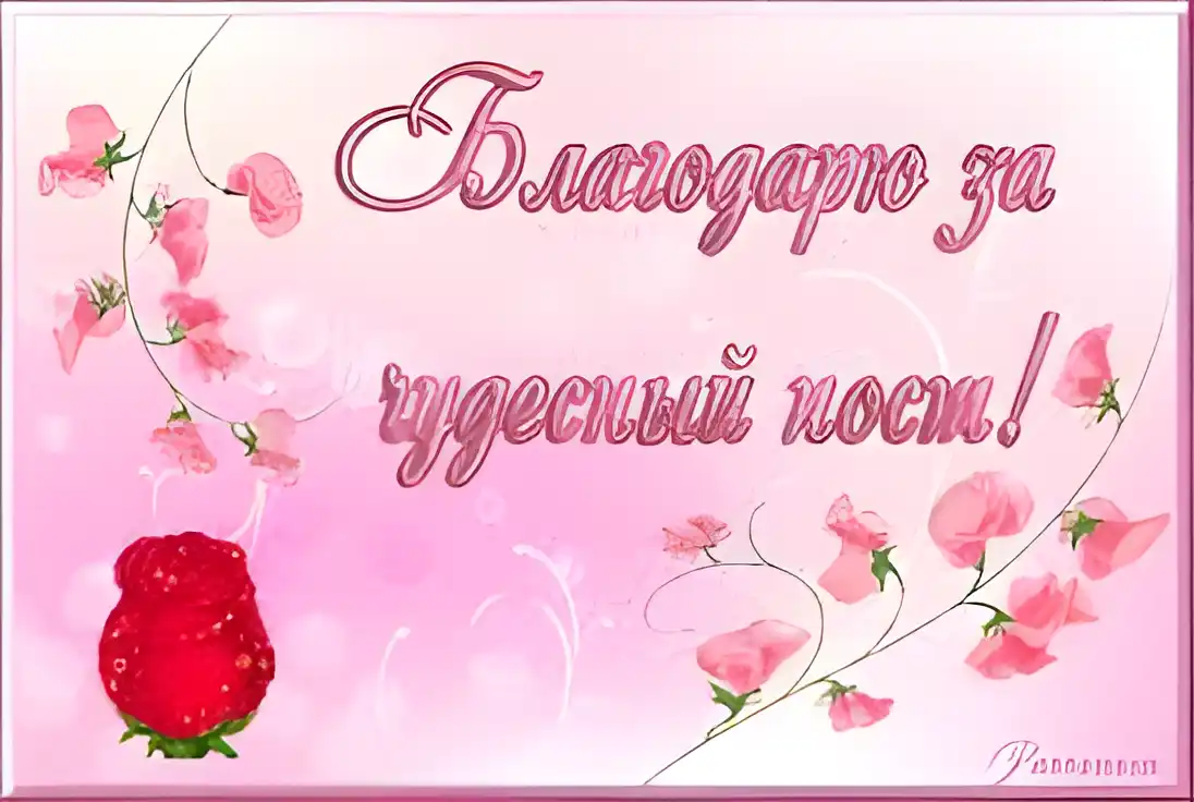 Открытка Благодарность - Открытка с розой и цветами: нежные поздравления | Красивая открытка #9