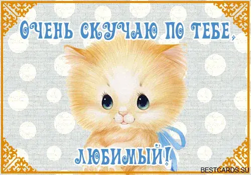 Открытка Для любимого - Открытка с милым котенком в бантике | Красивая открытка #16