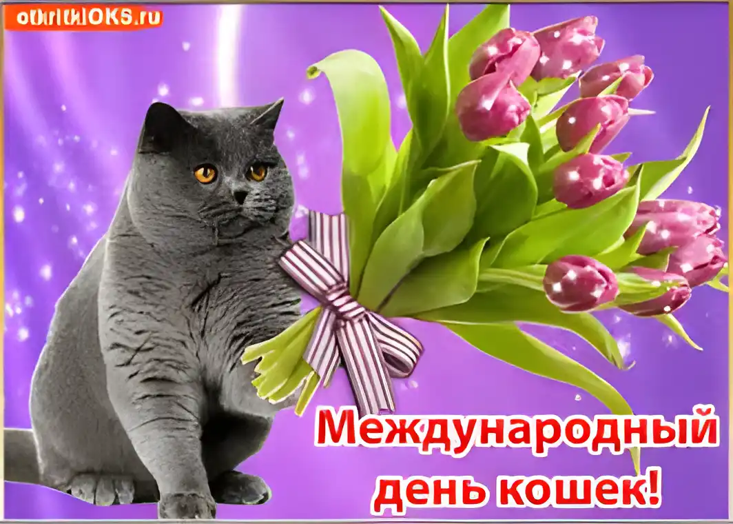 Открытка Открытки с днем кошек - Открытка с серым котом и тюльпанами | Красивая открытка #27