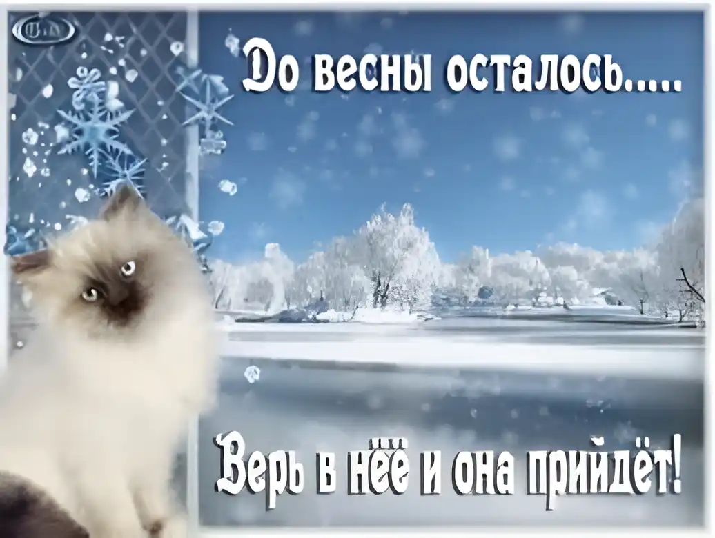 Открытка Открытки с последним днем зимы - Заснеженный пейзаж: кошка и зимняя открытка | Красивая открытка #13