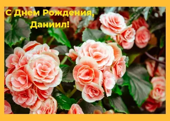 Открытка Открытки с именем Даниил/Данил - Розовые розы: Открытка с днем рождения | Красивая открытка #203