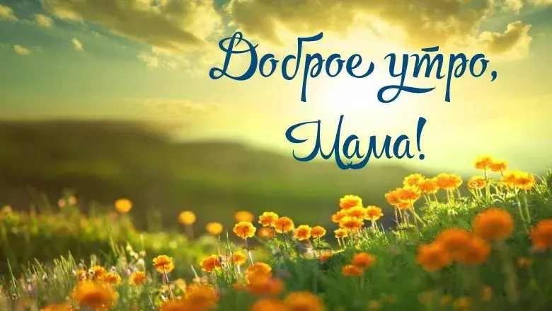 Открытка Доброе утро - Яркое поле с оранжевыми цветами на фоне рассвета | Красивая открытка #477