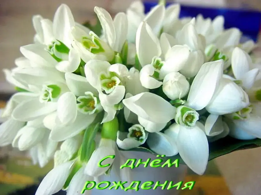 Открытка С днем рождения для женщин - Открытка: Весенние подснежники  поздравления с днем рождения | Красивая открытка #43