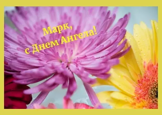 Открытка Открытки с именем Максим  - Открытка с цветущими маками и пионами | Красивая открытка #236