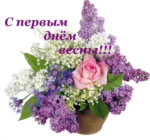 Открытка  С первым днем весны - Букет сирени и розы в горшке | Красивая открытка #32