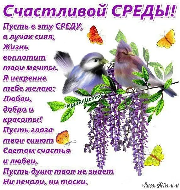 Открытка Среда - Открытка с синичкой и цветами: Поздравления | Красивая открытка #66