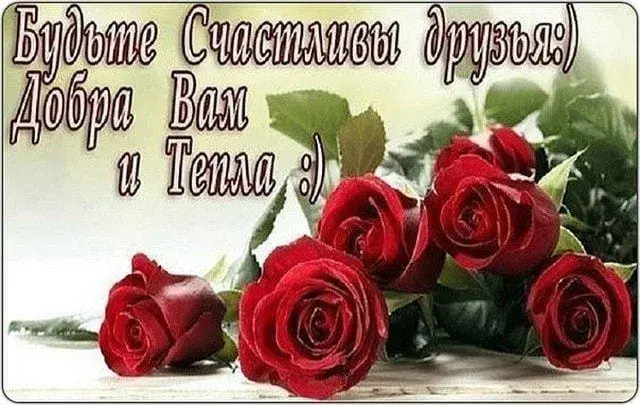 Открытка С пожеланиями другу/подруге - Букет красных роз на открытке | Красивая открытка #8