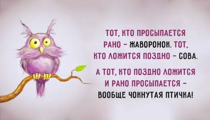 Открытка Цель - Сова на ветке: милая открытка с птицей | Красивая открытка #20