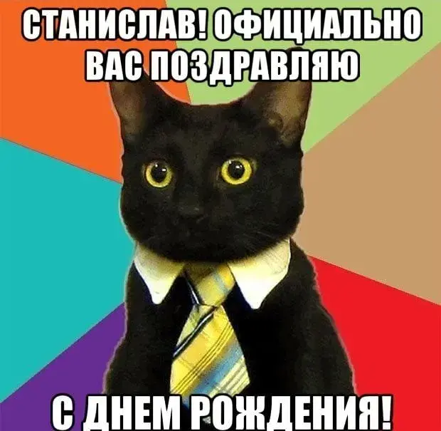 Открытка Открытки с именем Станислав  - Открытка с котом в галстуке: С Днём Рождения! | Красивая открытка #151