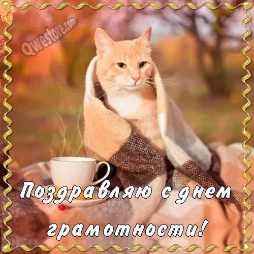 Открытка С днем грамотности - Открытка с рыжим котом и чашкой | Красивая открытка #9