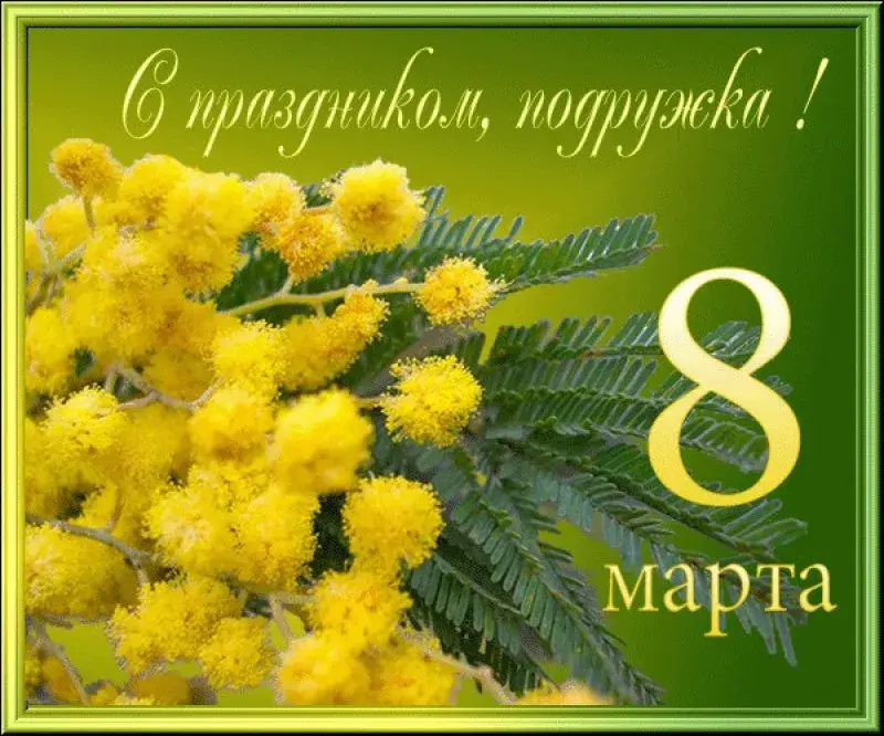 Открытка Открытки с 8 марта подруга - Мягкая нежность цветка мимозы для Вас! | Красивая открытка #19