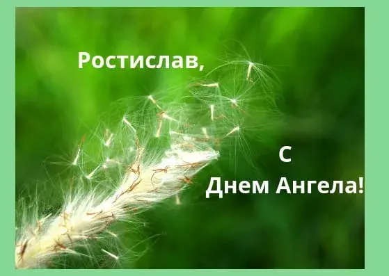 Открытка Открытки с именем Ростислав  - Пушистый одуванчик на фоне зелени. Открытка | Красивая открытка #209