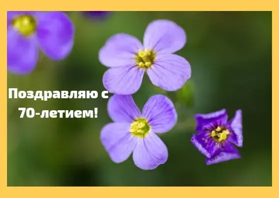 Открытка Открытки на 70 лет - Открытка с фиалками: С днем 70-летия! | Красивая открытка #103