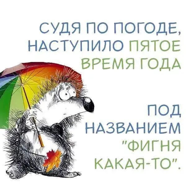 Открытка о погоде - Еж под зонтом: открытка с поздравлением | Красивая открытка #23