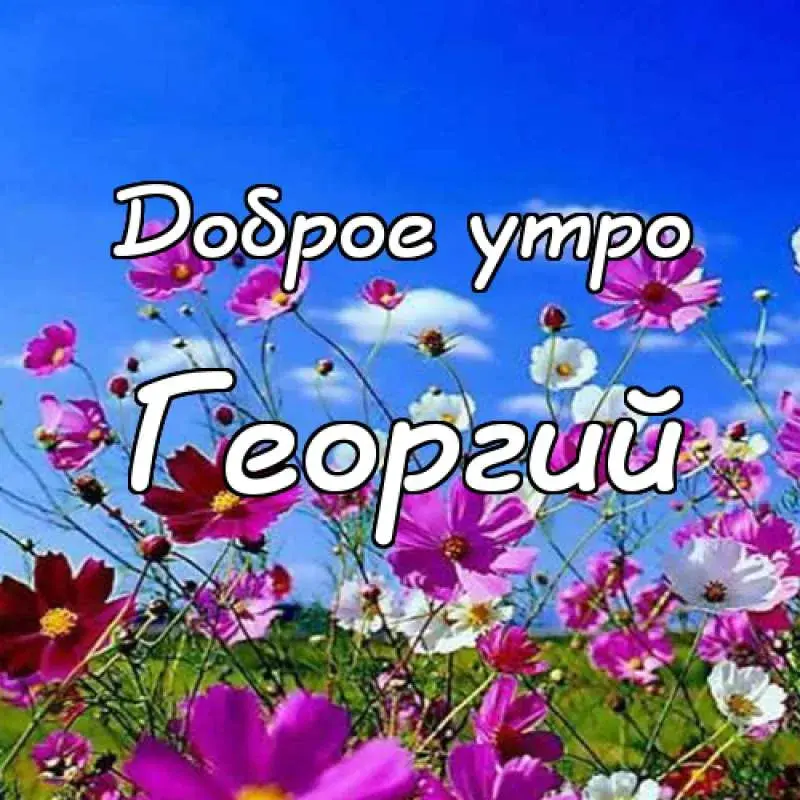 Открытка открытки с именем Георгий  - Поле с цветами, надпись "Доброе утро" | Красивая открытка #141