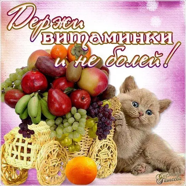 Открытка Скорейшего выздоровления - Открытка с котенком и фруктами | Красивая открытка #45