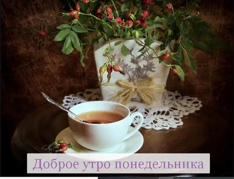 Открытка Доброе утро понедельник - Доброе утро с чашкой чая и ягодами шиповника | Красивая открытка #24