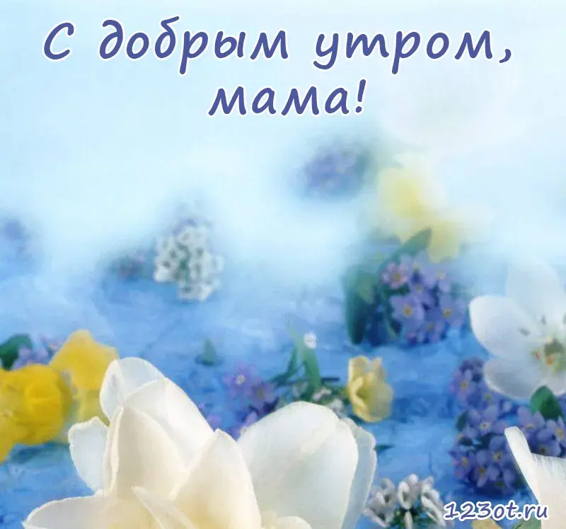 Открытка Доброе утро - Открытка с белыми цветами и синим фоном | Красивая открытка #102