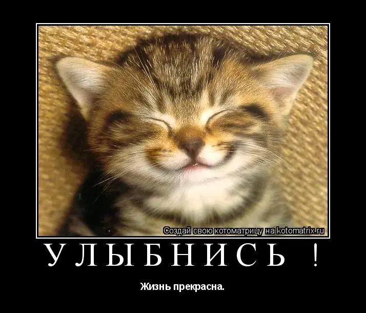 Открытка Улыбнись - Улыбнись! Открытка с котиком — позитив и хорошее настроение | Красивая открытка #83