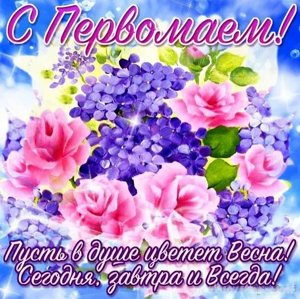 Открытка 1 мая - Весенние цветы: букет пионов и сирени. | Красивая открытка #231
