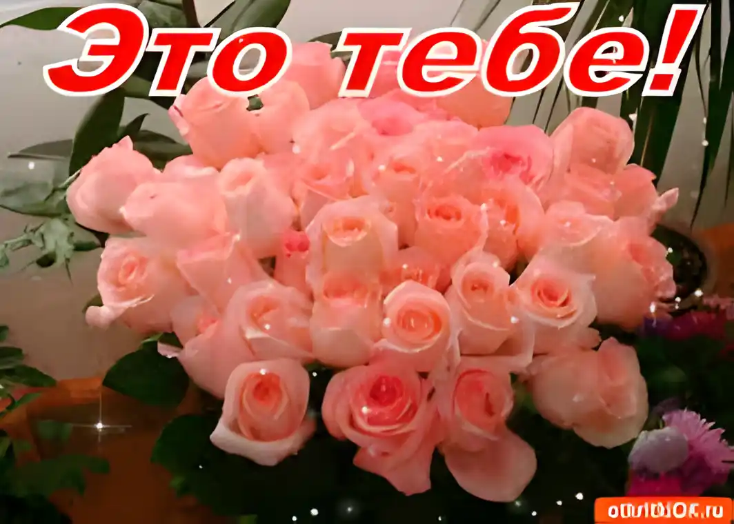 Открытка Для тебя - Открытка с розовыми розами | Красивая открытка #245