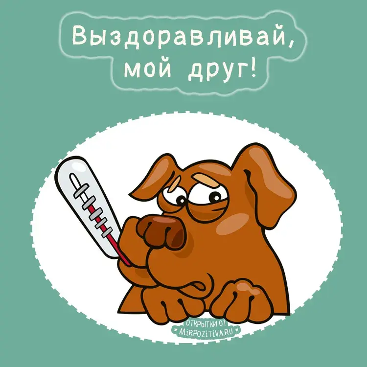 Открытка Скорейшего выздоровления - Открытка с собакой и термометром | Красивая открытка #51