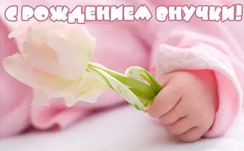 Открытка С Днём рождения ребёнка - Рука малыша с цветком: нежная открытка | Красивая открытка #30