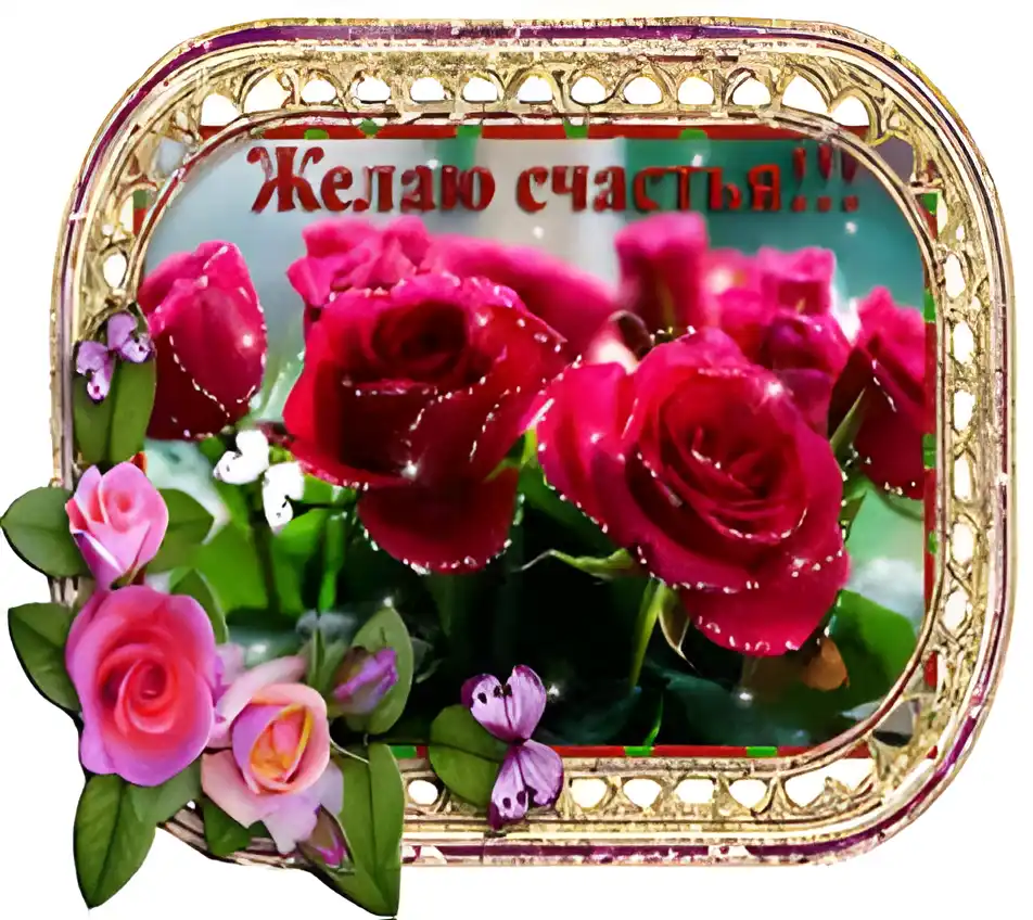 Открытка Желаю счастья - Открытка с розами: Красные и розовые цветы | Красивая открытка #36