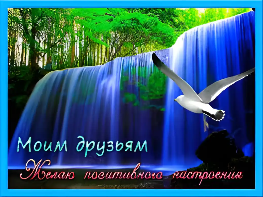 Открытка Открытки о дружбе - Открытка с водопадом и чайкой: Красивые пейзажи | Красивая открытка #187