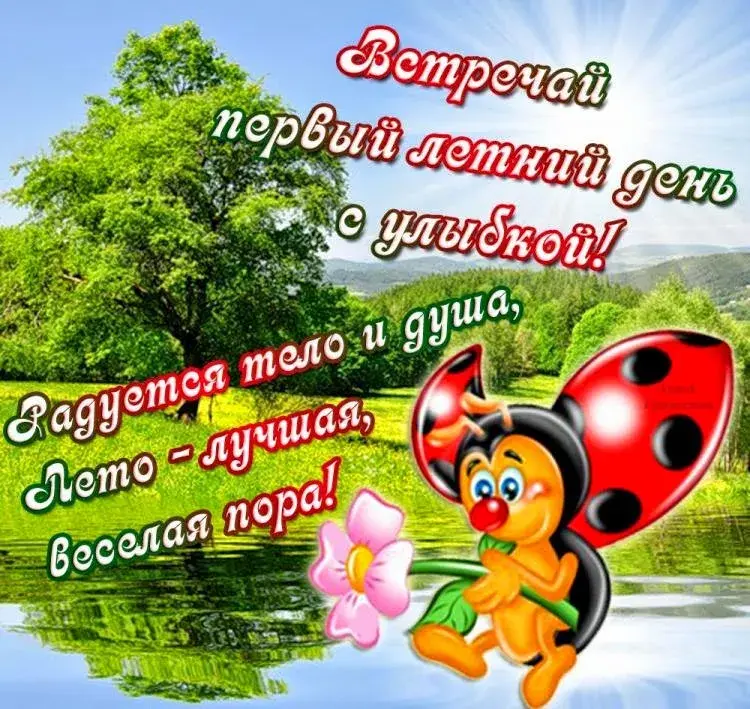 Открытка Первый день лета - Яркая открытка с божьей коровкой и цветами | Красивая открытка #3