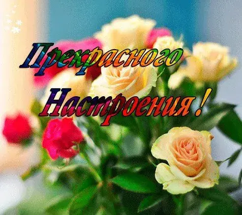Открытка Для хорошего настроения - Открытка с красными розами и желтыми пионами | Красивая открытка #17