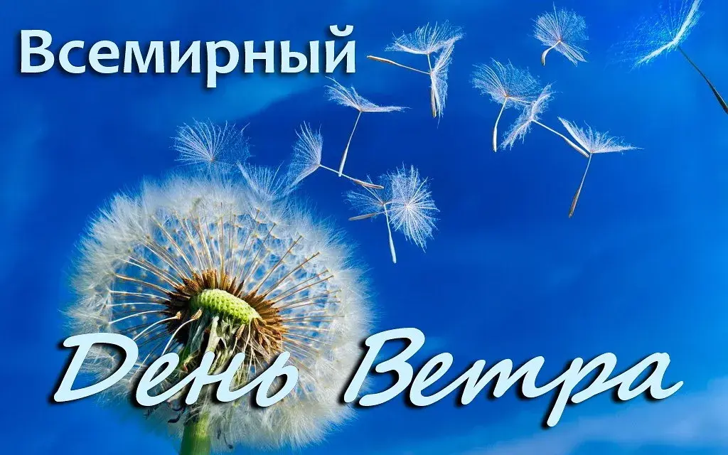 Открытка Всемирный день ветра - Открытка: Одуванчик на синем небе | Красивая открытка #18
