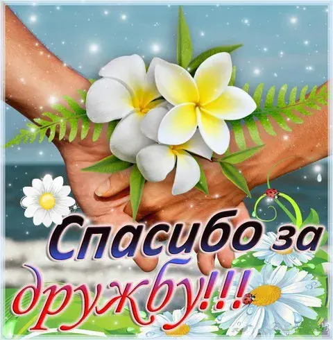 Открытка Спасибо за дружбу - Открытка с цветами: ромашки и цветы франжипани | Красивая открытка #17