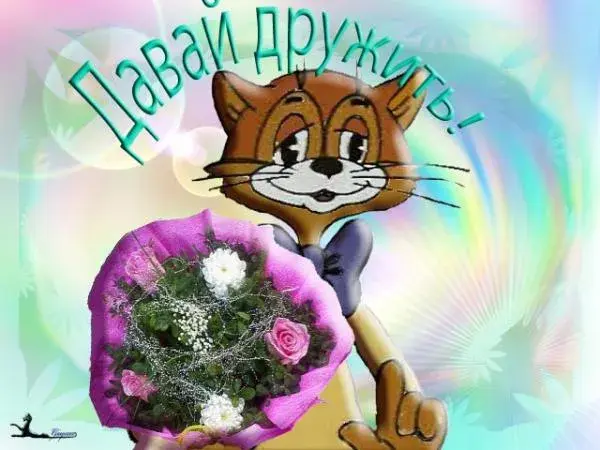 Открытка Давай дружить - Открытка с котом и цветами | Красивая открытка #2