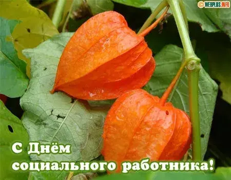Открытка С днём социального работника - Открытка с оранжевыми фонариками на фоне листьев | Красивая открытка #20