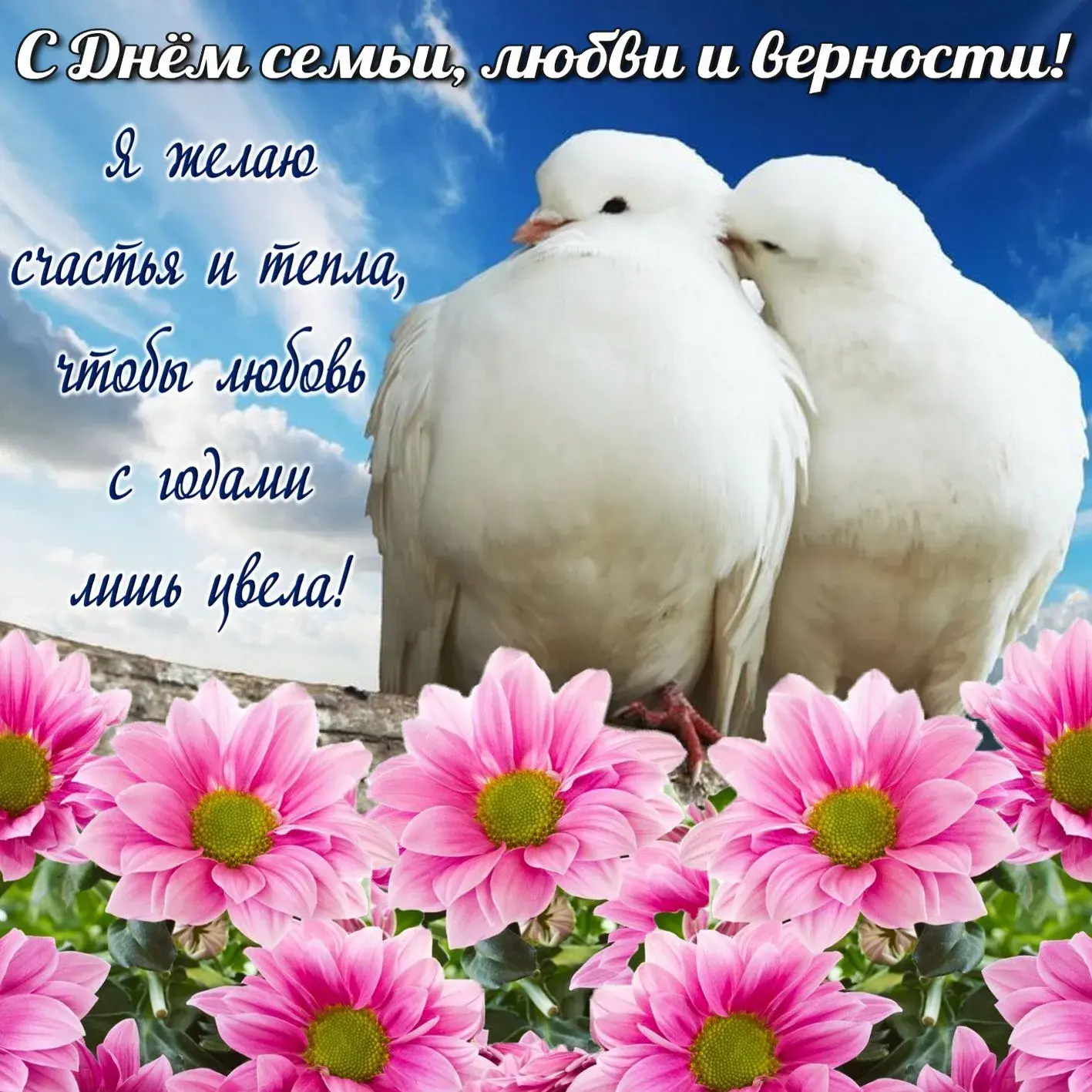 Открытка День семьи - Белые голуби и розовые цветы | Красивая открытка #13