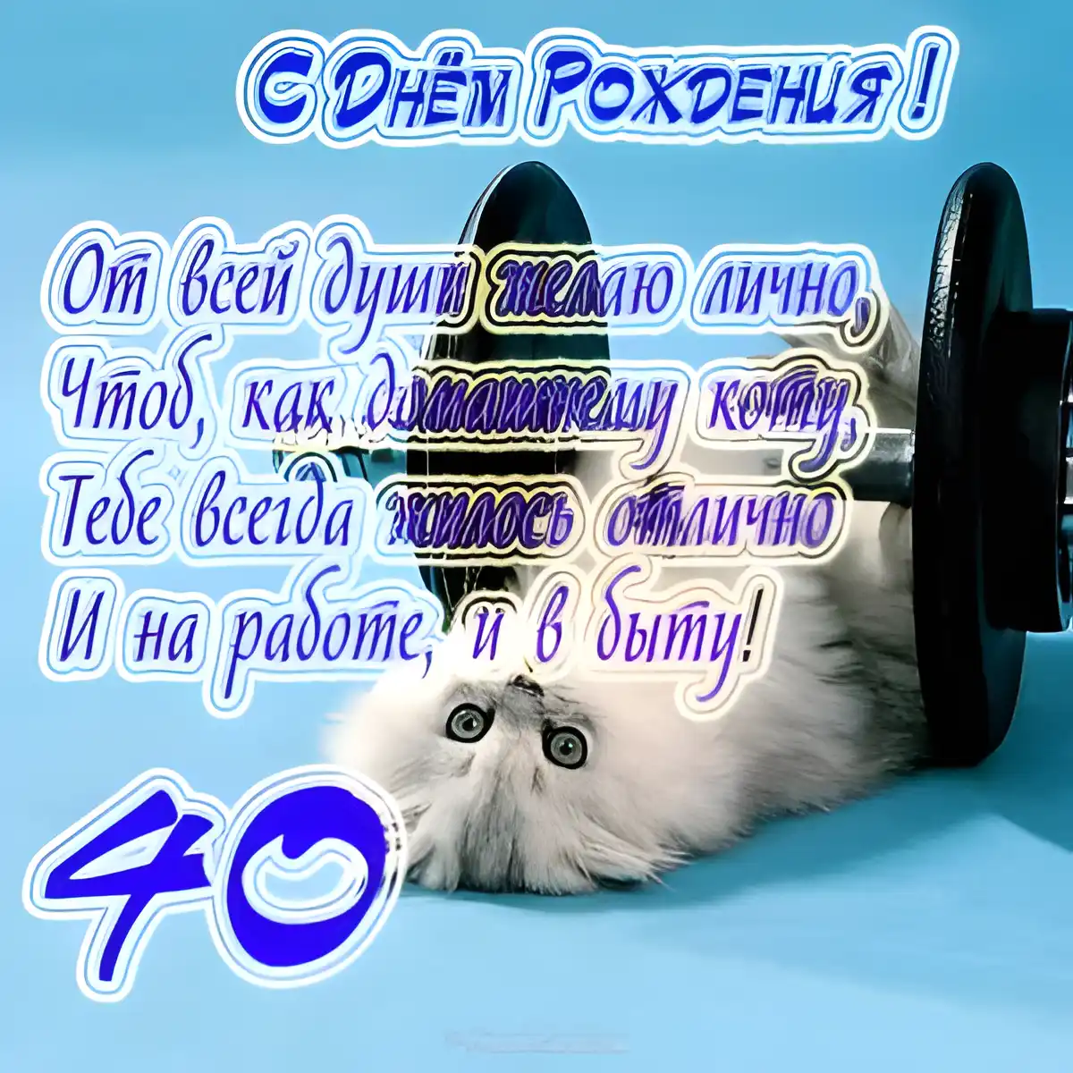 Открытка Открытки на 40 лет - Открытка с котенком: С днем рождения! | Красивая открытка #65