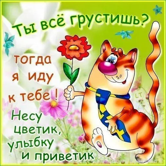 Открытка Не грусти - Рыжий кот с цветком: открытка с поздравлением | Красивая открытка #28