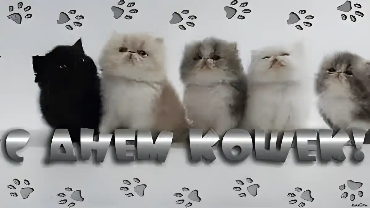 Открытка День Кошек - Открытка с четырьмя котятами. | Красивая открытка #23