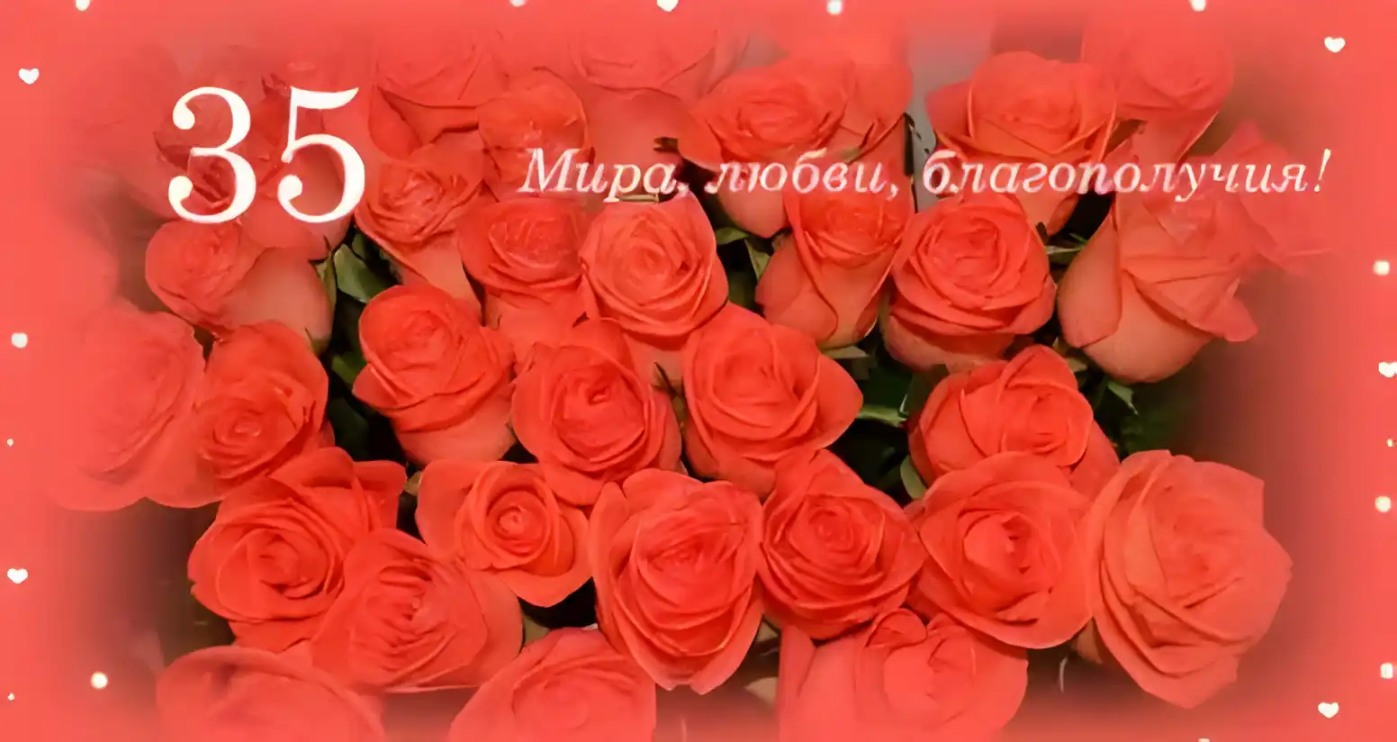 Открытка Открытки на 35 лет - Букет красных роз: открытка с цветами | Красивая открытка #110
