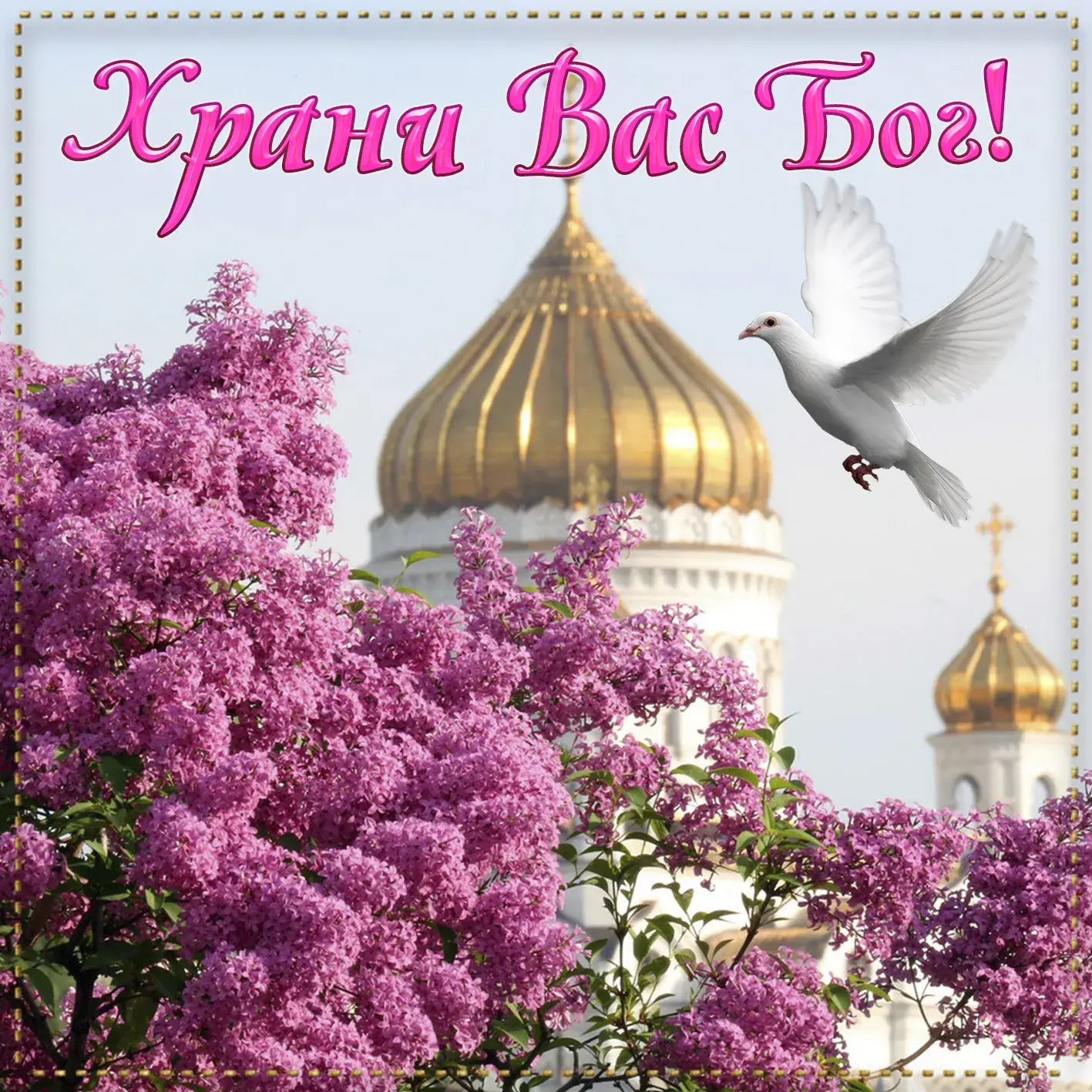 Открытка С сиренью - Цветы сирени, голубь и золотая церковь | Красивая открытка #80