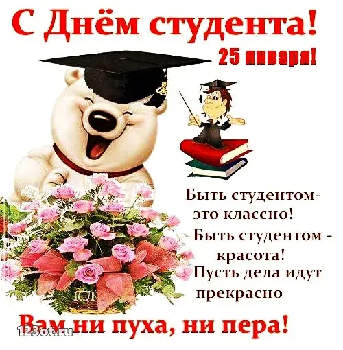 Открытка День студента - Открытка с мишкой в шапке и цветами | Красивая открытка #111