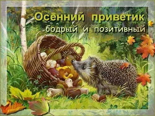 Открытка Осенний приветик - Еж с грибами в осеннем лесу  открытка с природой | Красивая открытка #45