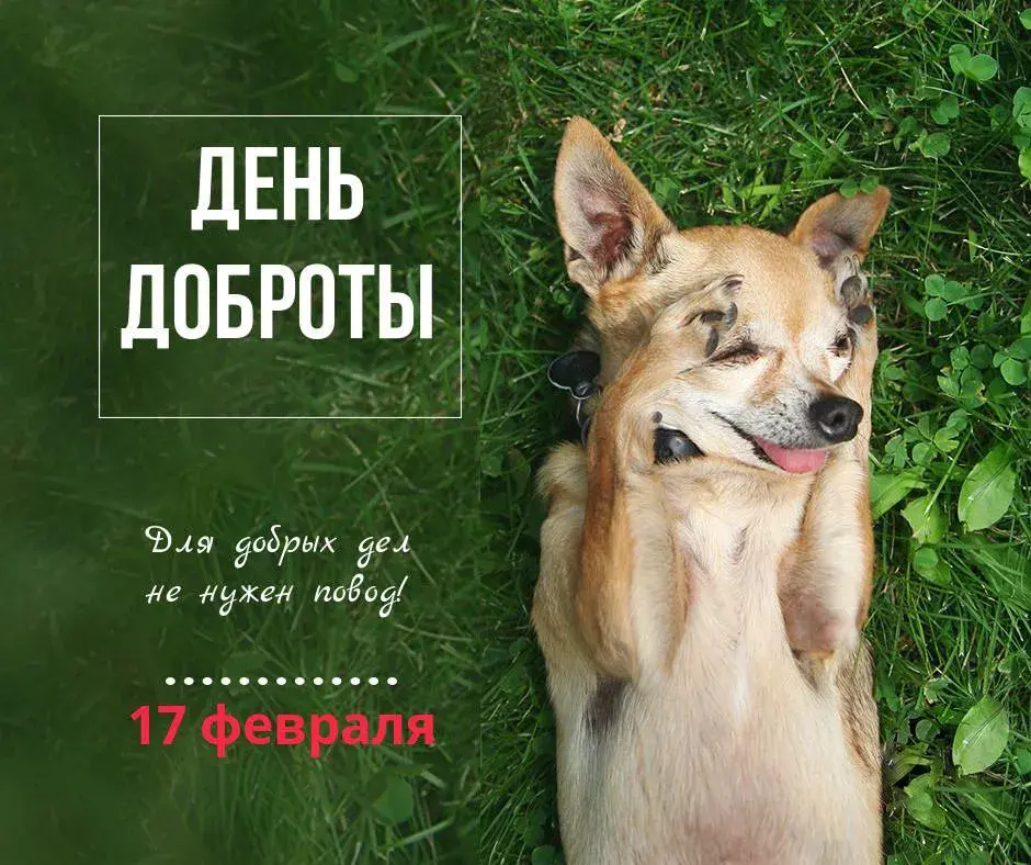 Открытка День доброты - Открытка с собакой: День влюблённых, 17 февраля | Красивая открытка #145