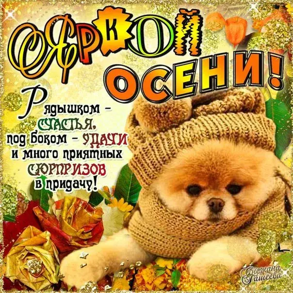 Открытка Первый день осени - Открытка с щенком в шапке: поздравления и пожелания | Красивая открытка #7