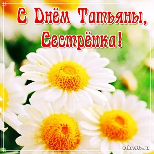 Открытка открытки на Татьянин день  - Открытка с цветами: ромашки на красном фоне | Красивая открытка #117